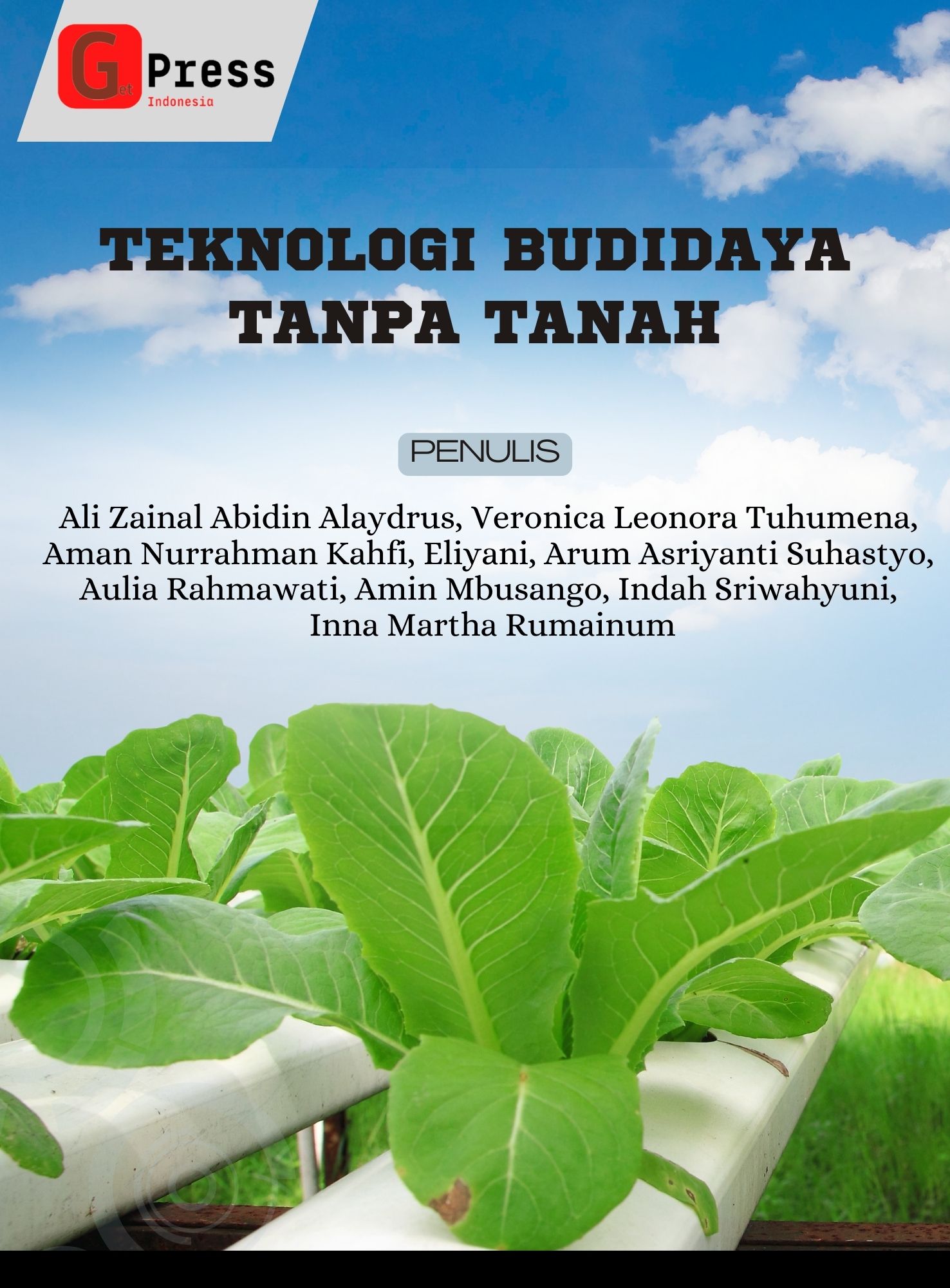 TEKNOLOGI BUDIDAYA TANPA  TANAH